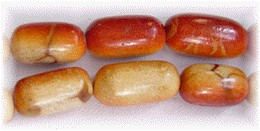 Vintage apple coral beads