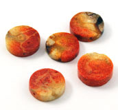 Apple Coral Coin Beads